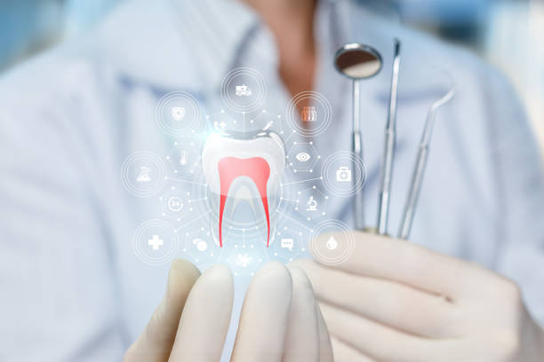 Best Preventive Dentistry  in Norwood, OH